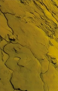 Surface of Venus